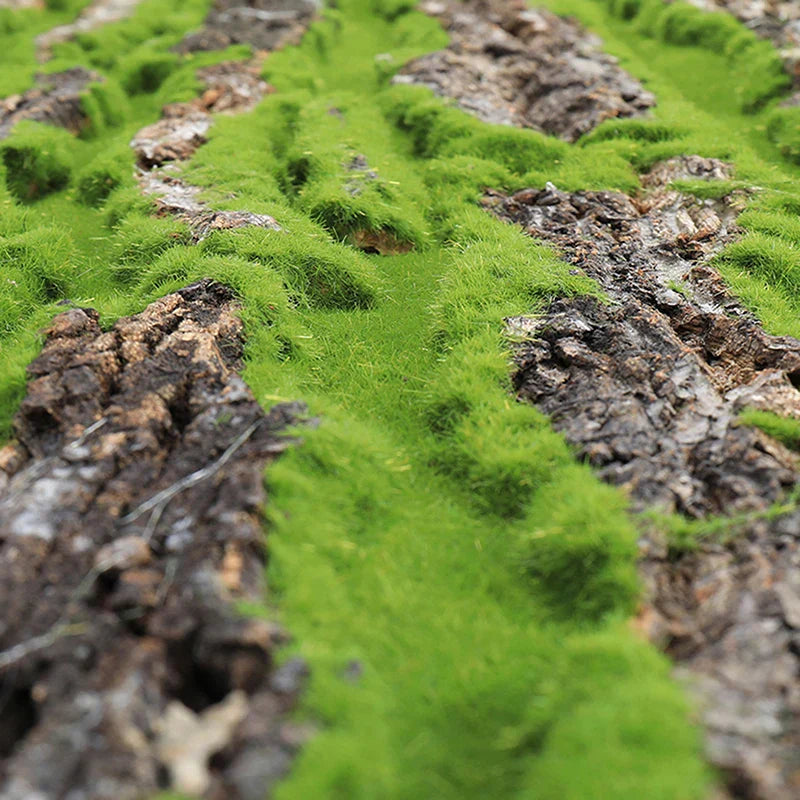 Junips | DIY Wall Decoration Green Plant Bark