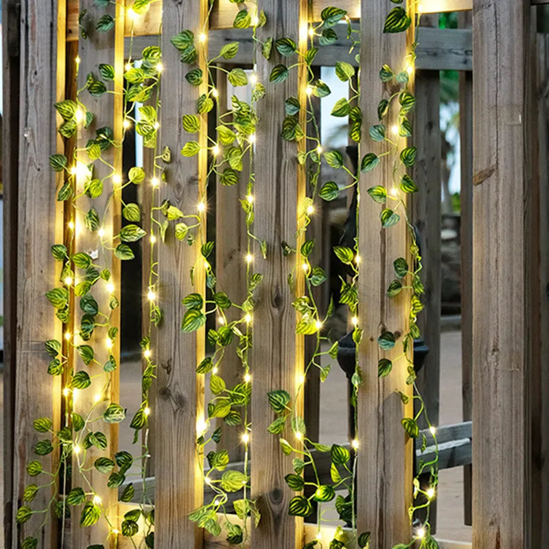 Junips | Garden vine LED string lights