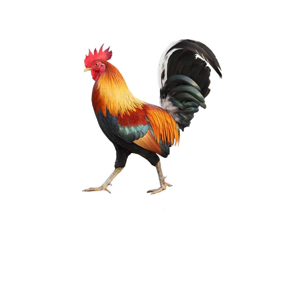 Junips | Garden figure: Feathered beauty