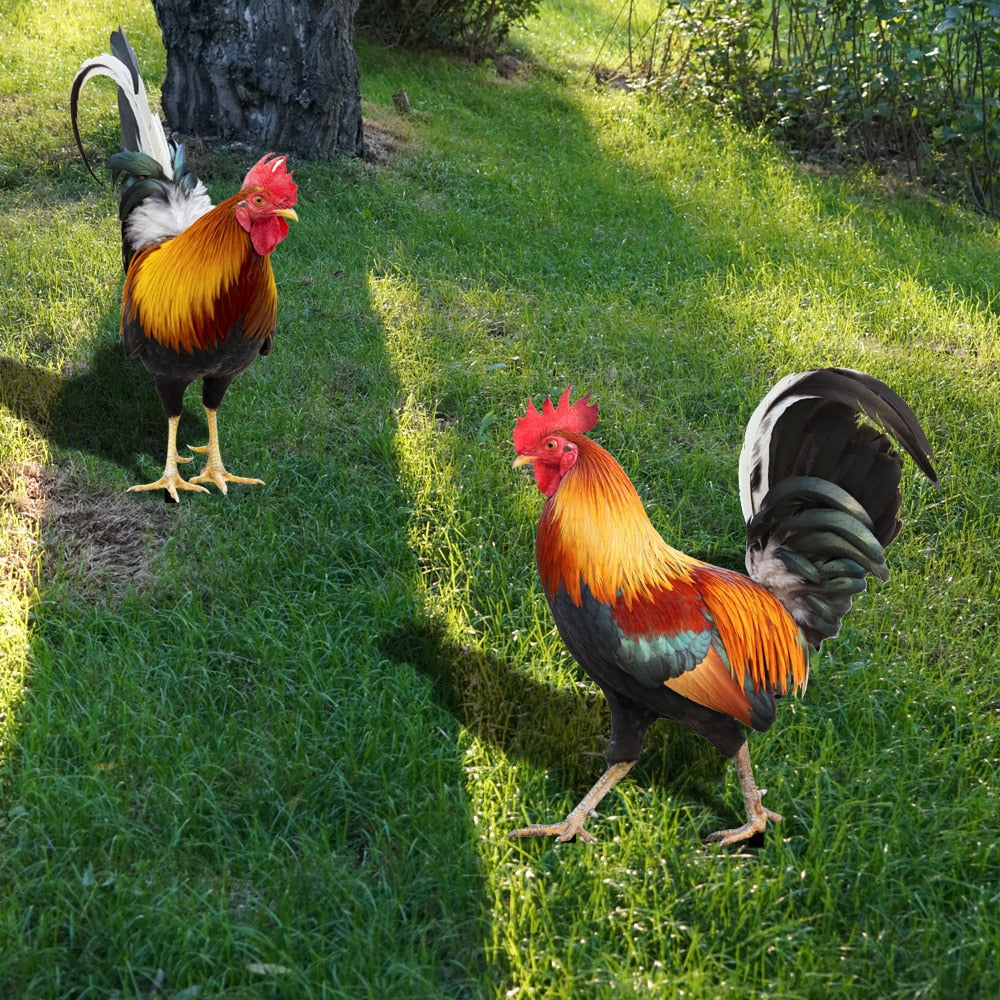 Junips | Garden figure: Feathered beauty