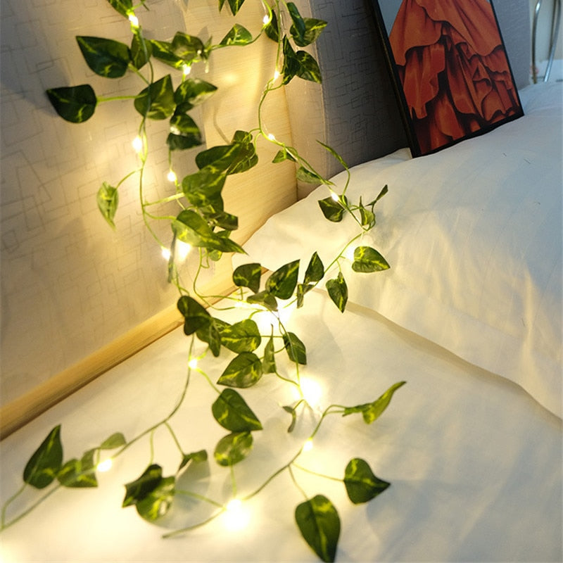 Junips | Garden vine LED string lights