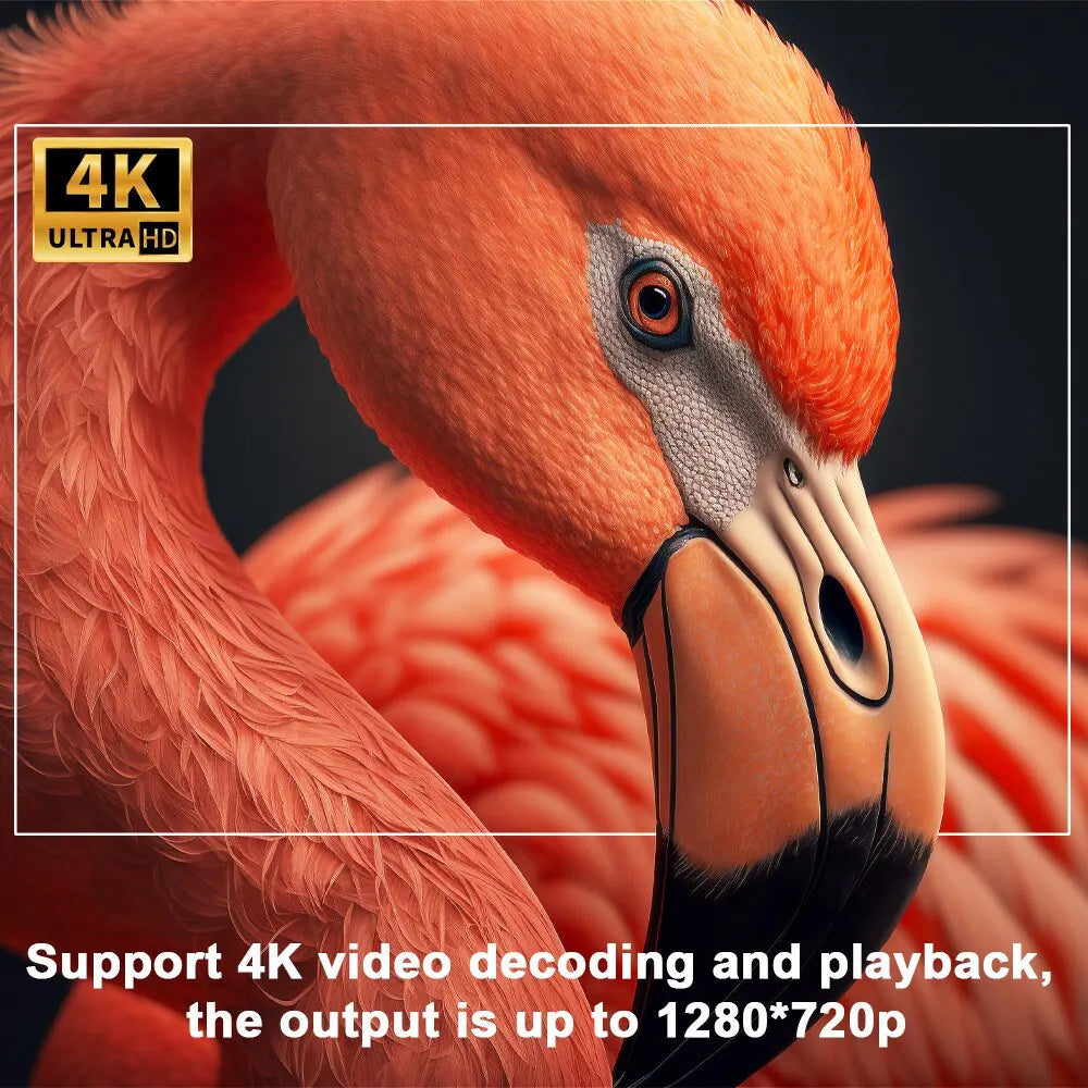 Junips | – 4K Android Projector Pro