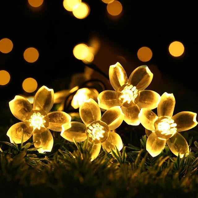 Junips | Peach Blossom Fairy Lights