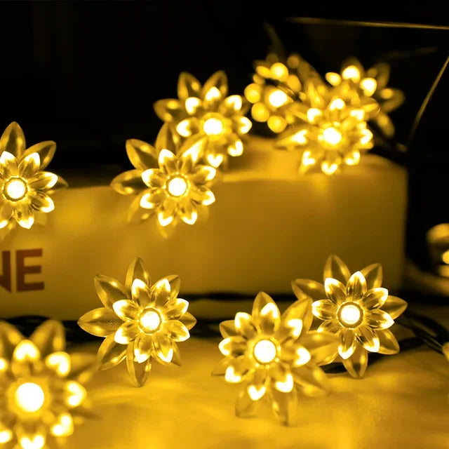 Junips | Peach Blossom Fairy Lights