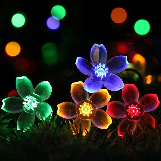 Junips | Peach Blossom Fairy Lights
