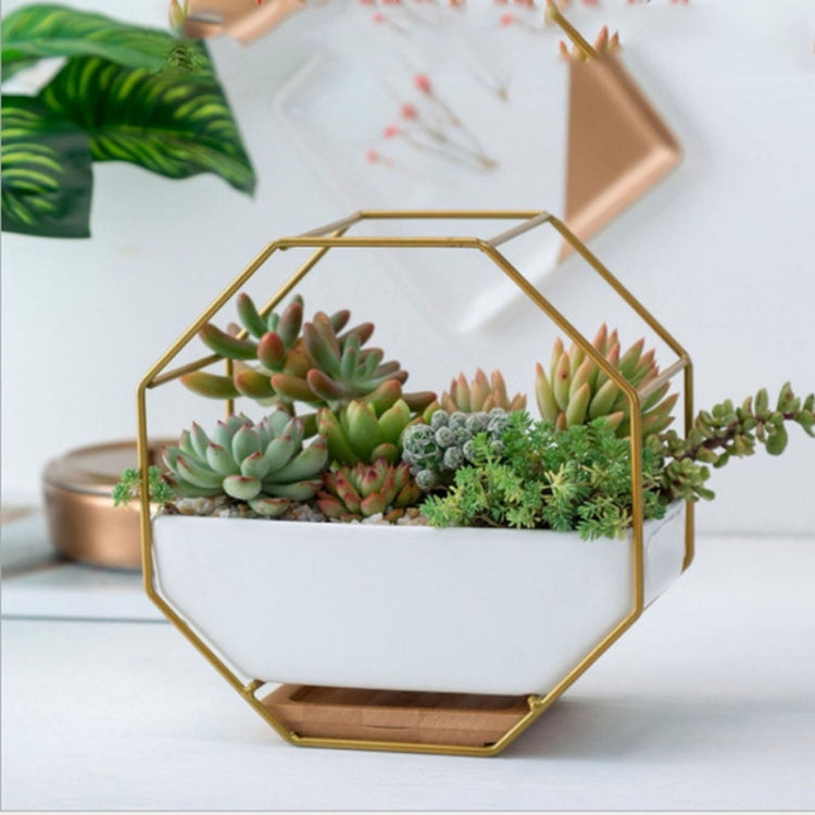 Junips | Simple octagonal geometric wall-mounted table succulent plate bamboo support iron frame flower pot (Gold)