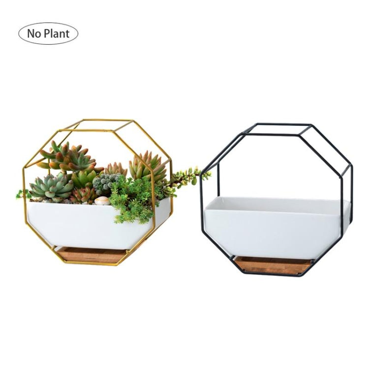 Junips | Simple octagonal geometric wall-mounted table succulent plate bamboo support iron frame flower pot (Gold)