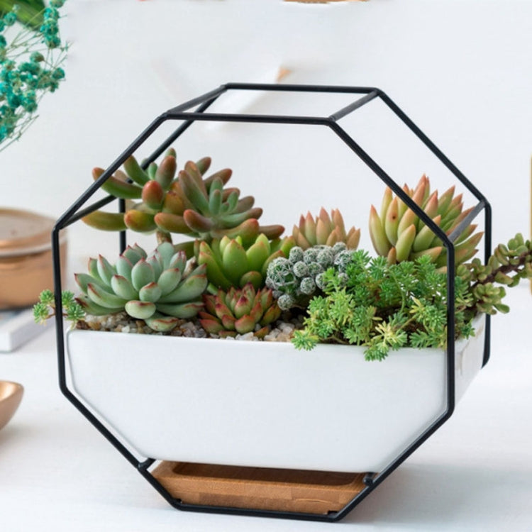 Junips | Simple octagonal geometric wall hanging table succulent plate bamboo support iron frame flower pot (black)