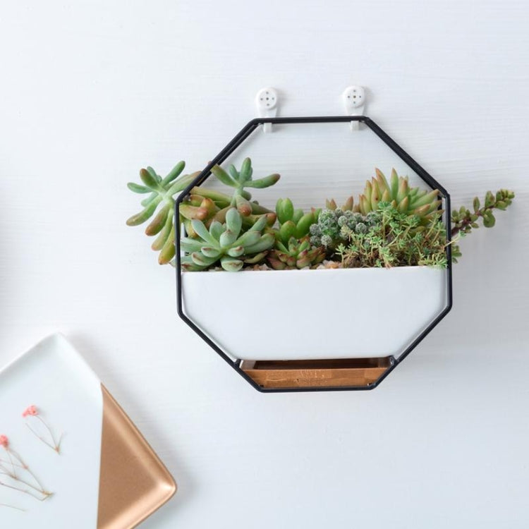 Junips | Simple octagonal geometric wall hanging table succulent plate bamboo support iron frame flower pot (black)