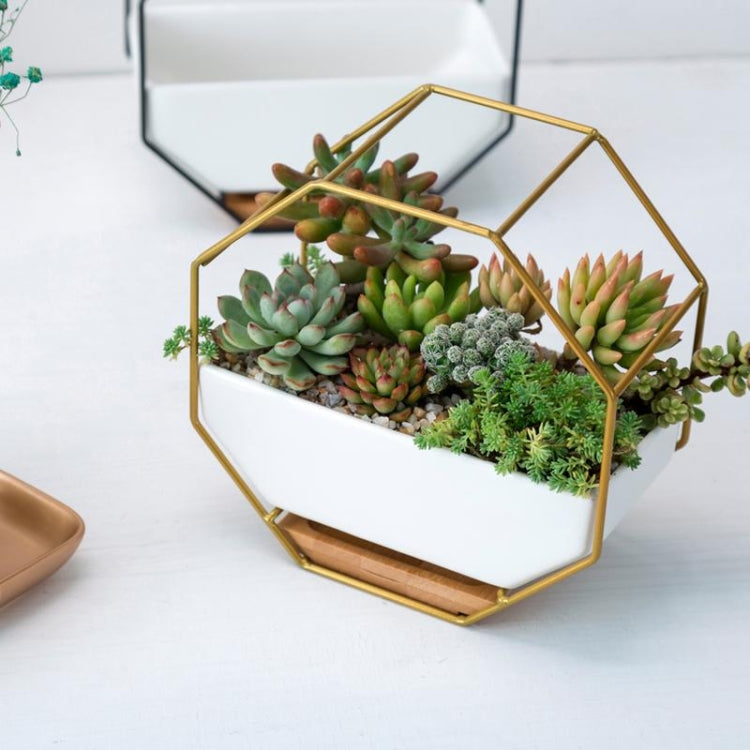 Junips | Simple octagonal geometric wall hanging table succulent plate bamboo support iron frame flower pot (black)