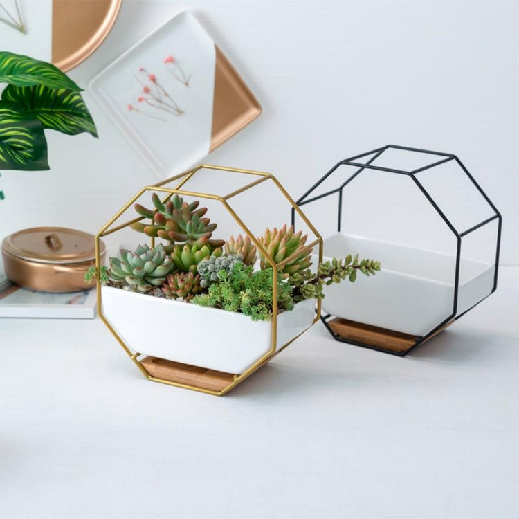 Junips | Simple octagonal geometric wall hanging table succulent plate bamboo support iron frame flower pot (black)