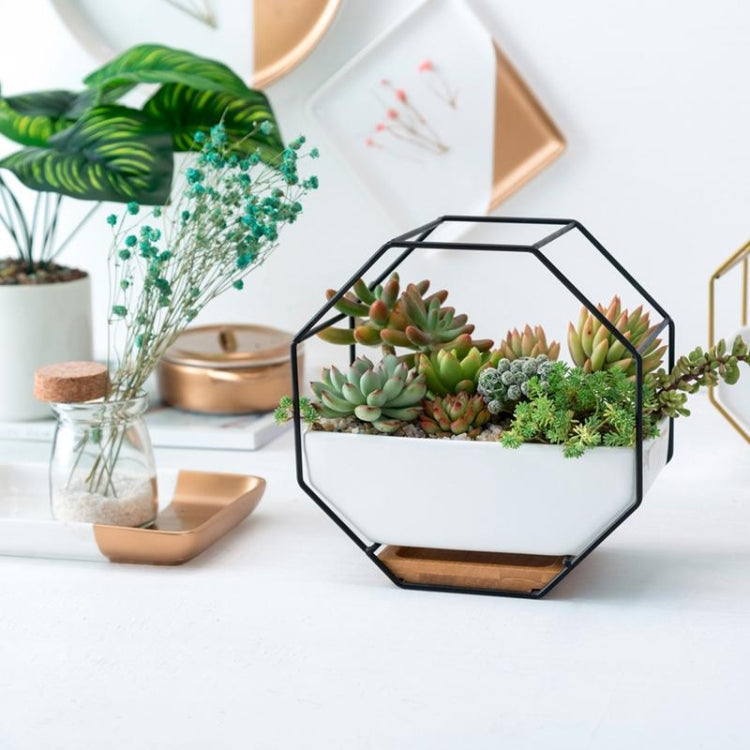 Junips | Simple octagonal geometric wall hanging table succulent plate bamboo support iron frame flower pot (black)