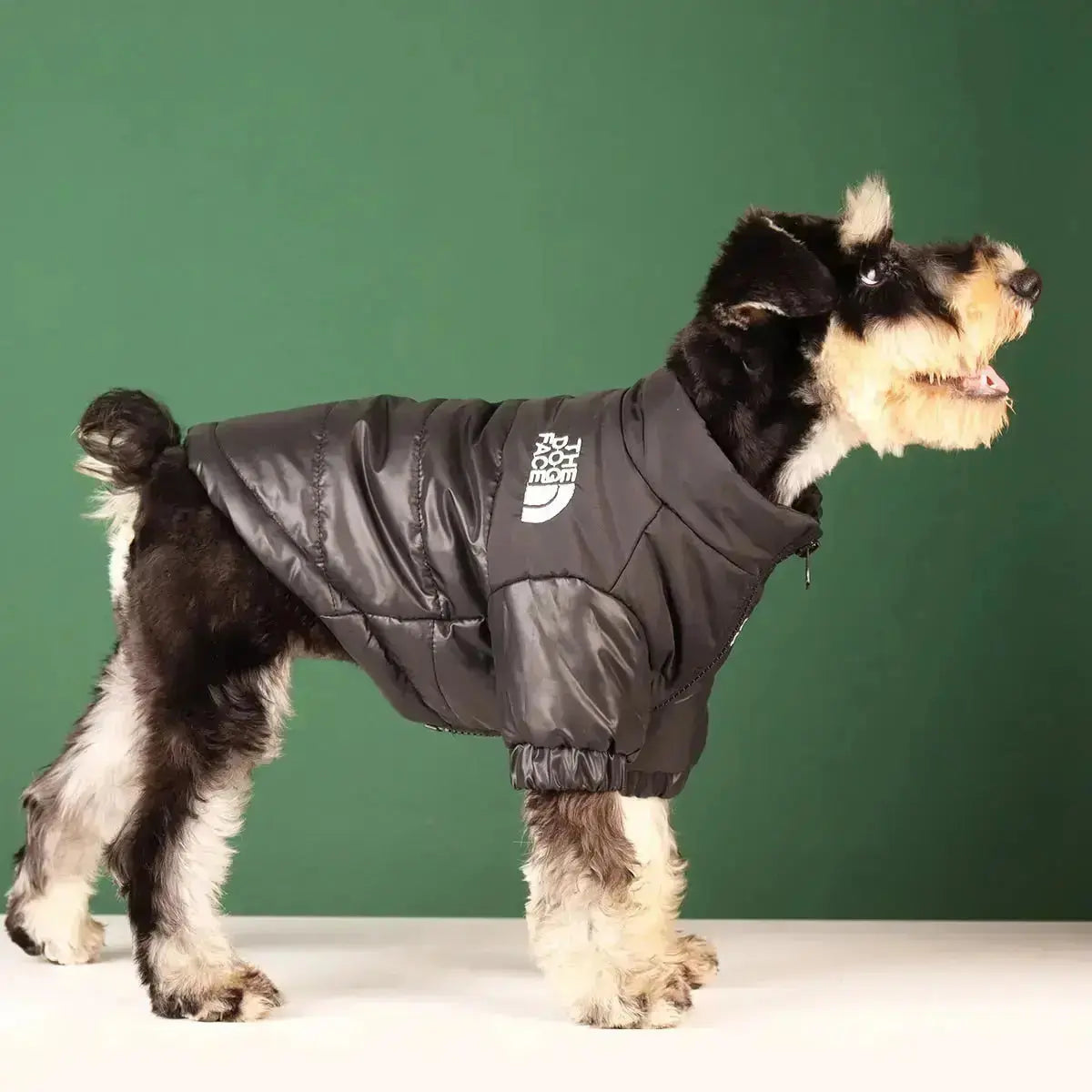Junips | The Dog Face Jacket - Type A