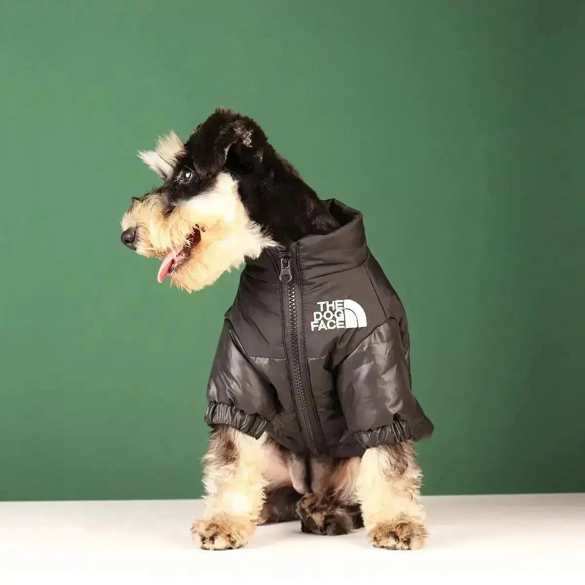 Junips | The Dog Face Jacket - Type A