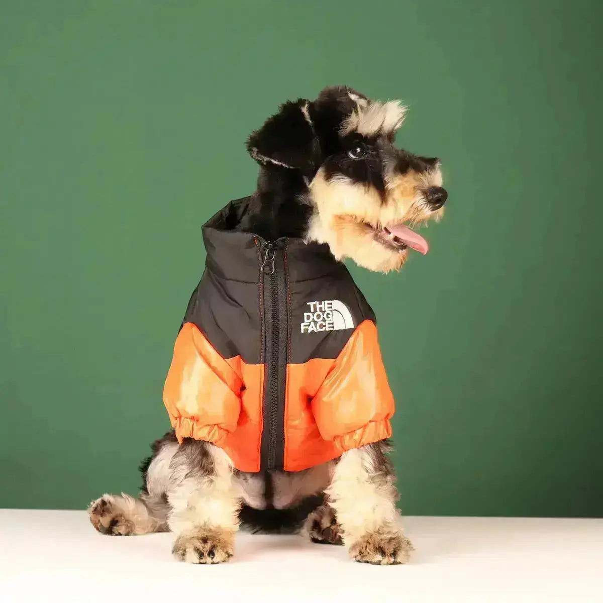 Junips | The Dog Face Jacket - Type A