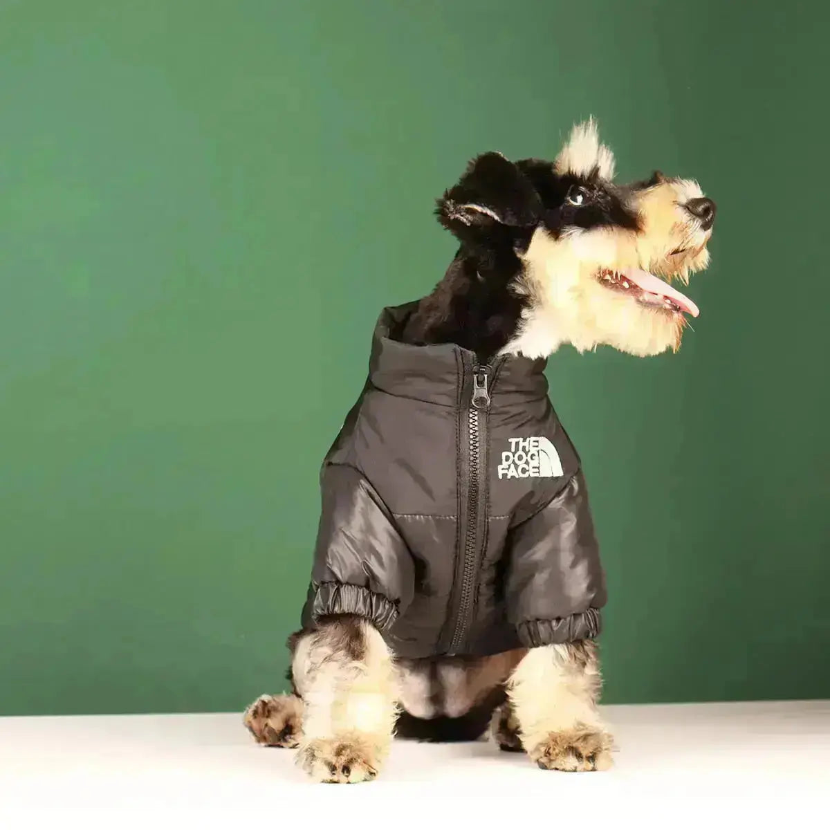 Junips | The Dog Face Jacket - Type A