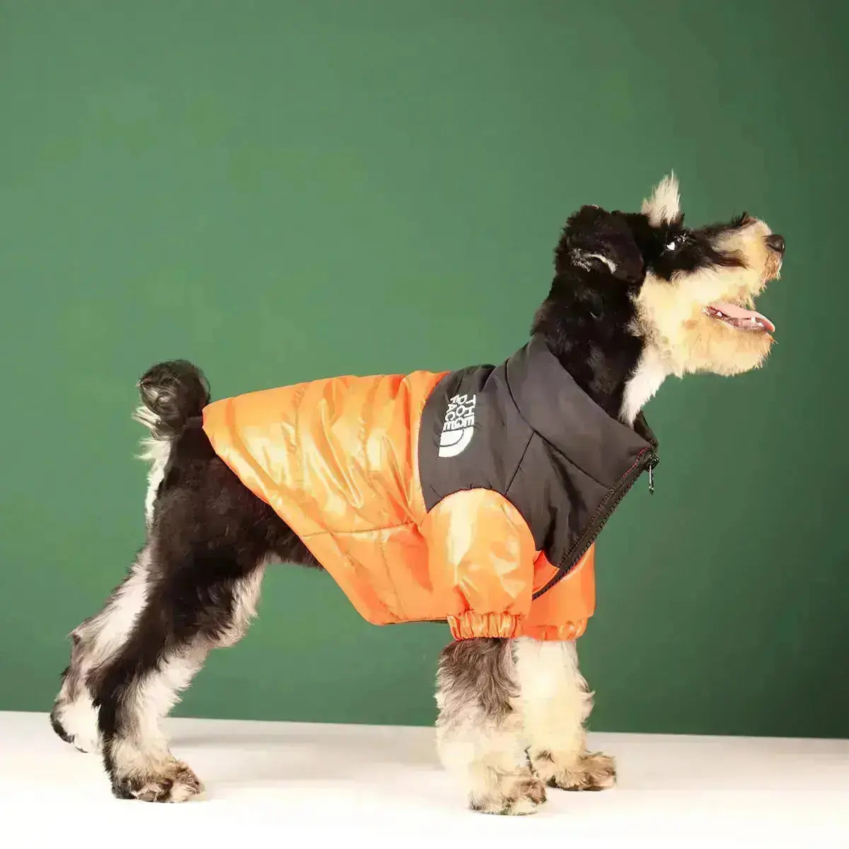 Junips | The Dog Face Jacket - Type A