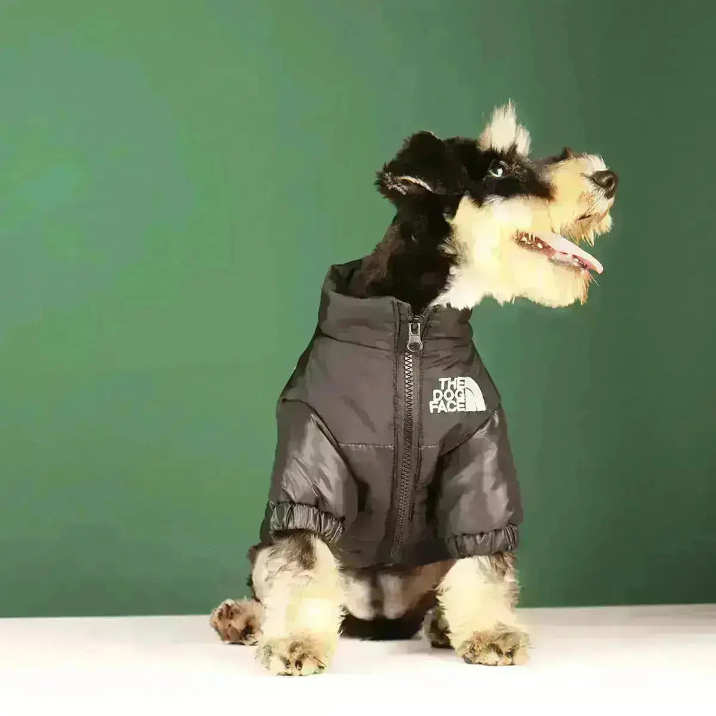 Junips | The Dog Face Jacket - Type A