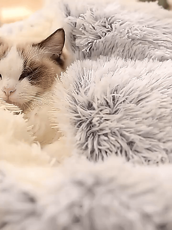 Junips | Cozy Cave Pet Bed | Calming & Comfortable Dog Bed for Deep Relaxation