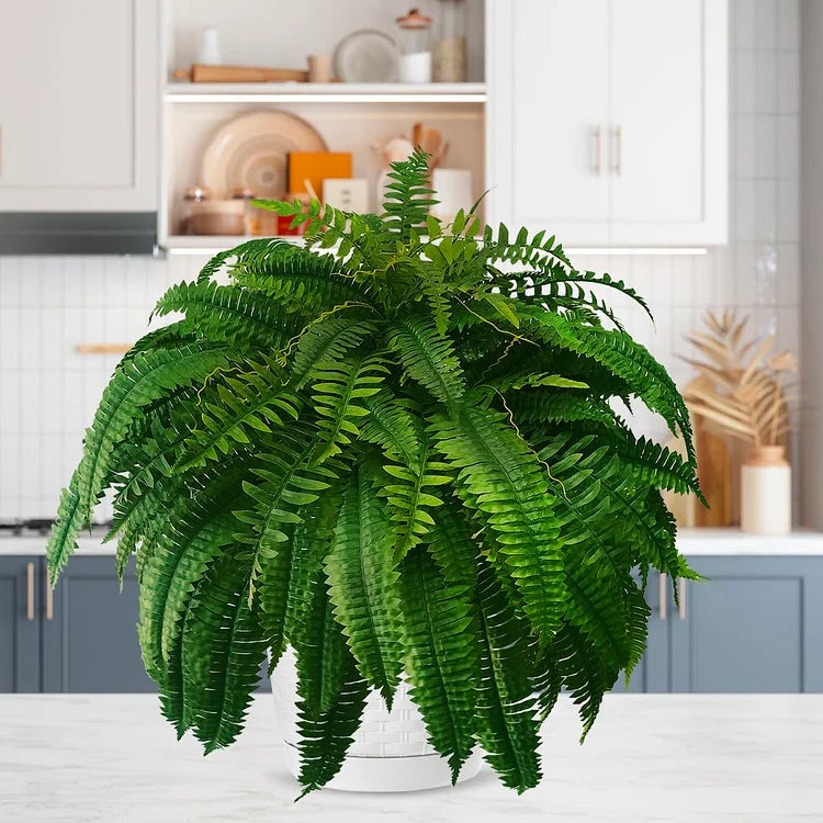 Junips | UV-resistant, lifelike artificial Boston fern