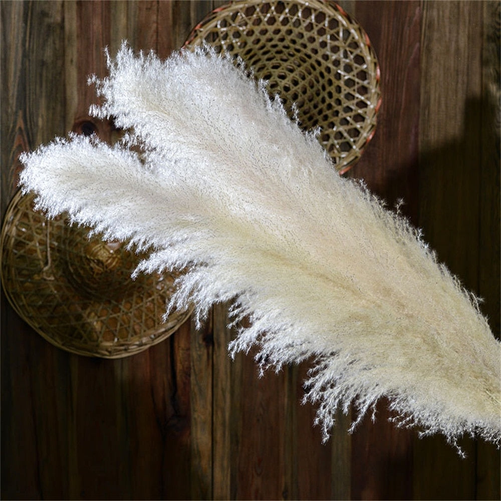 Junips | Pampas Dried Flowers