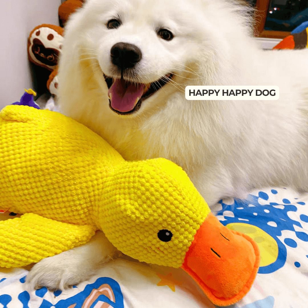 Junips | Calming duck for dogs