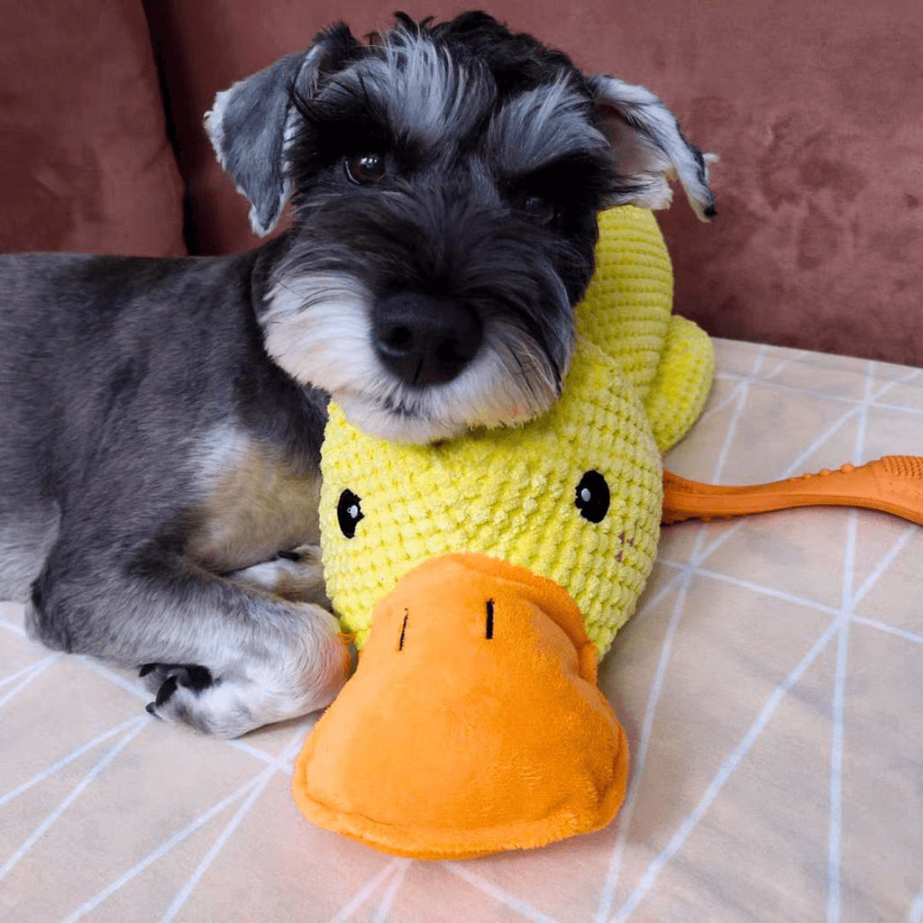 Junips | Calming duck for dogs