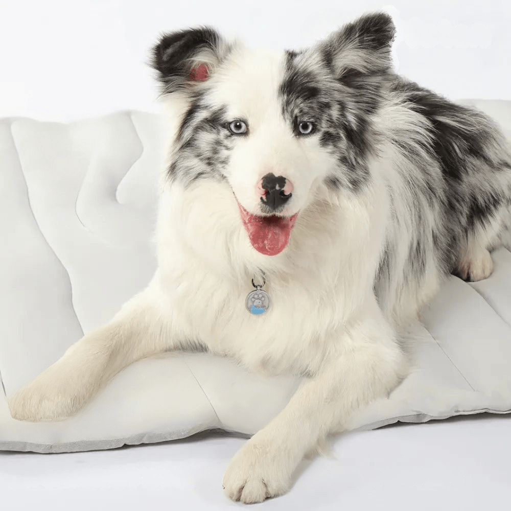 Junips | CoolPaws Cooling Mat – Self-Cooling Dog Mat for Hot Summer Relief