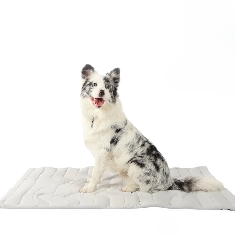 Junips | CoolPaws Cooling Mat – Self-Cooling Dog Mat for Hot Summer Relief