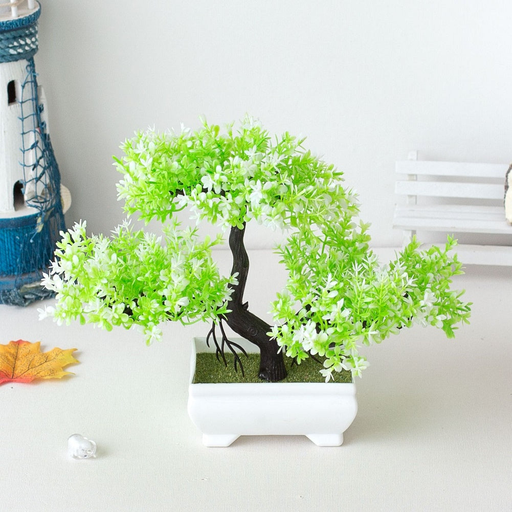 Junips | Plant Bonsai