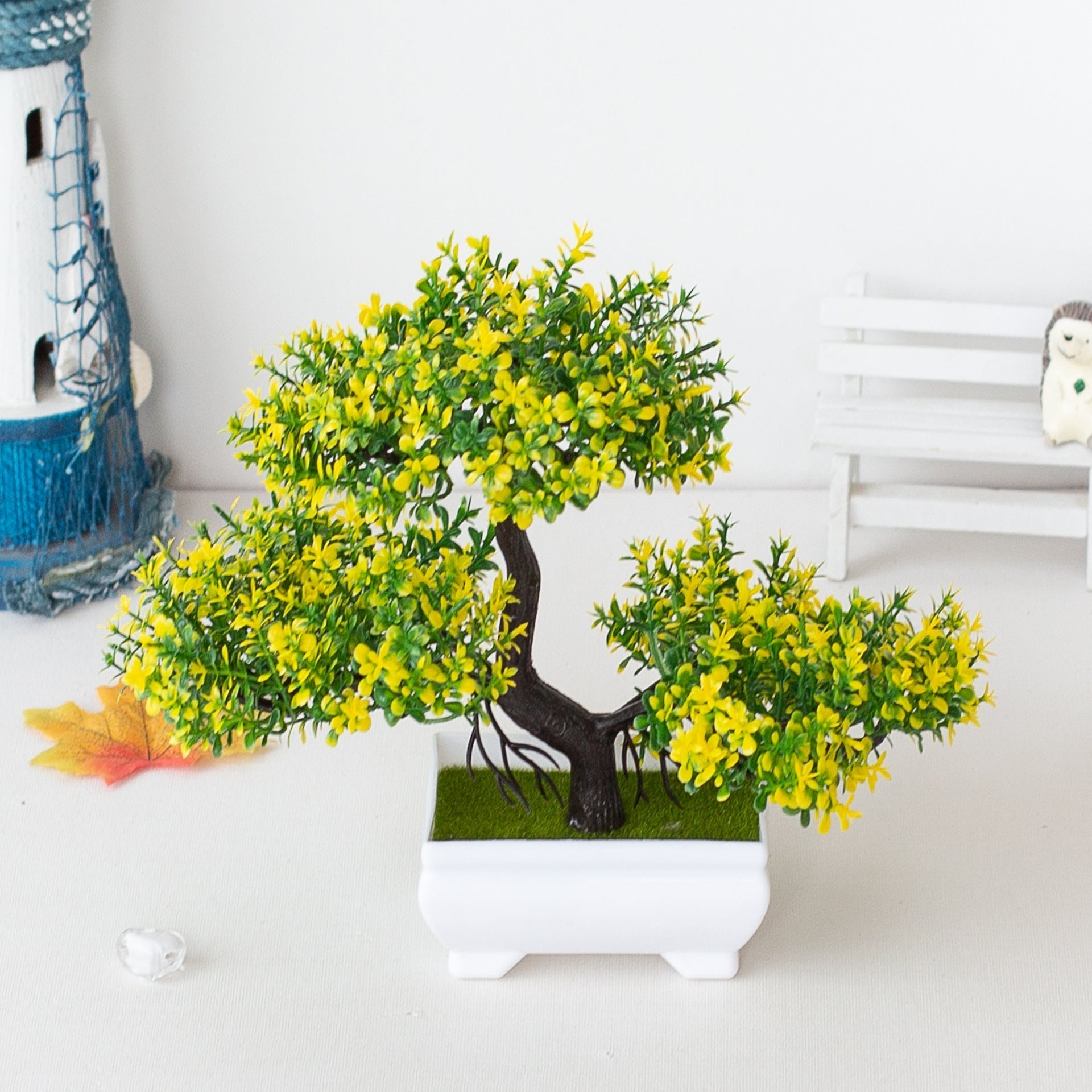 Junips | Plant Bonsai