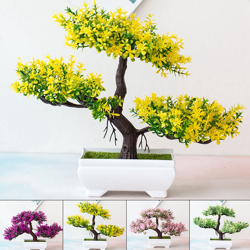 Junips | Plant Bonsai