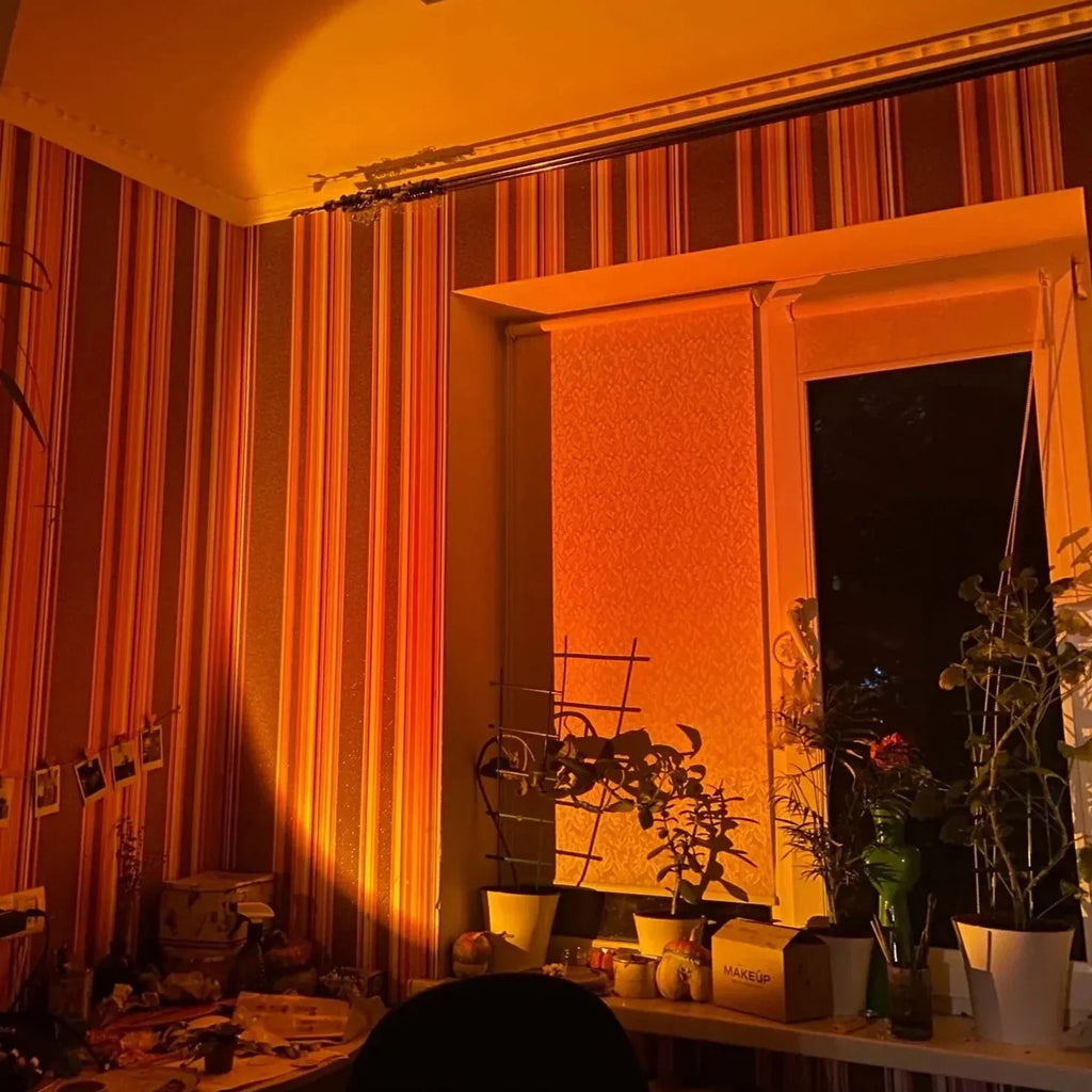 Junips | Fifteen Colors Sunset Projector Table Lamp