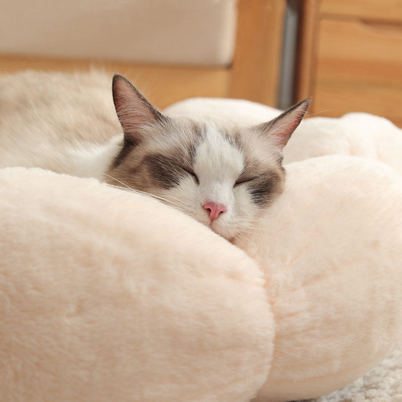 Junips | Deep Sleep Flower Shape Cat Bed