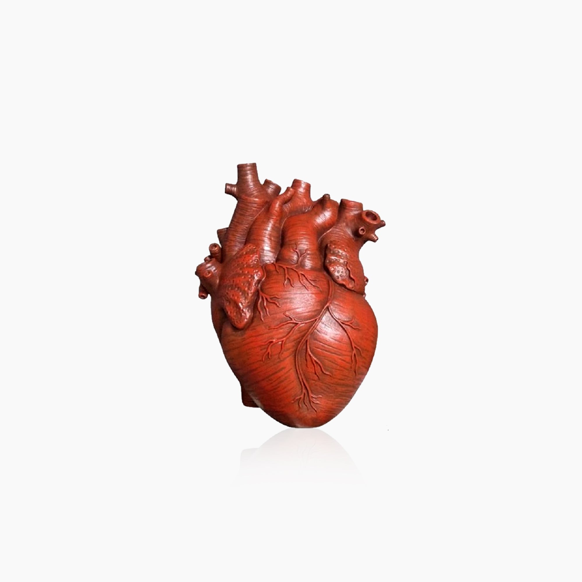 Junips | Heart Dry Plants Artificial Vase