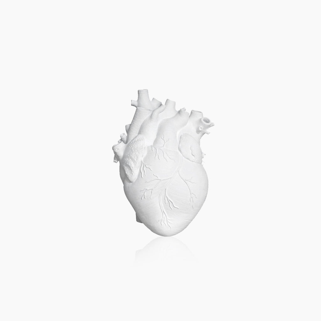 Junips | Heart Dry Plants Artificial Vase