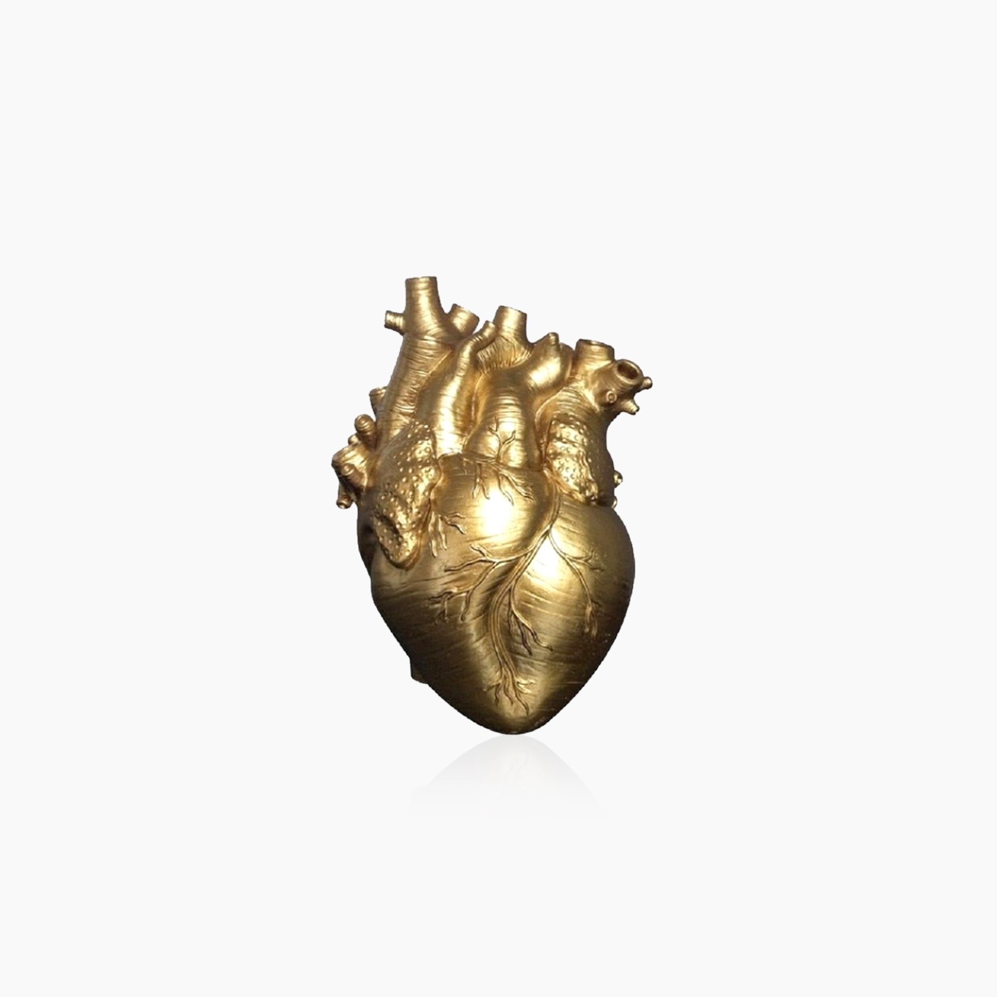 Junips | Heart Dry Plants Artificial Vase