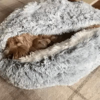 Junips | Cozy Cave Pet Bed | Calming & Comfortable Dog Bed for Deep Relaxation