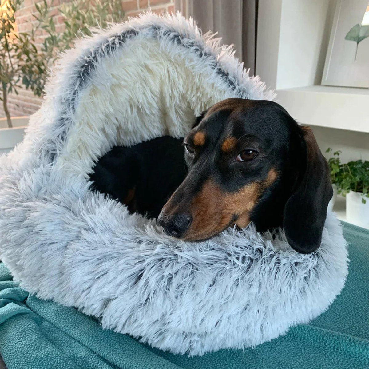Junips | Cozy Cave Pet Bed | Calming & Comfortable Dog Bed for Deep Relaxation