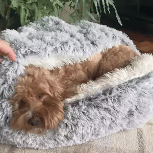 Junips | Cozy Cave Pet Bed | Calming & Comfortable Dog Bed for Deep Relaxation