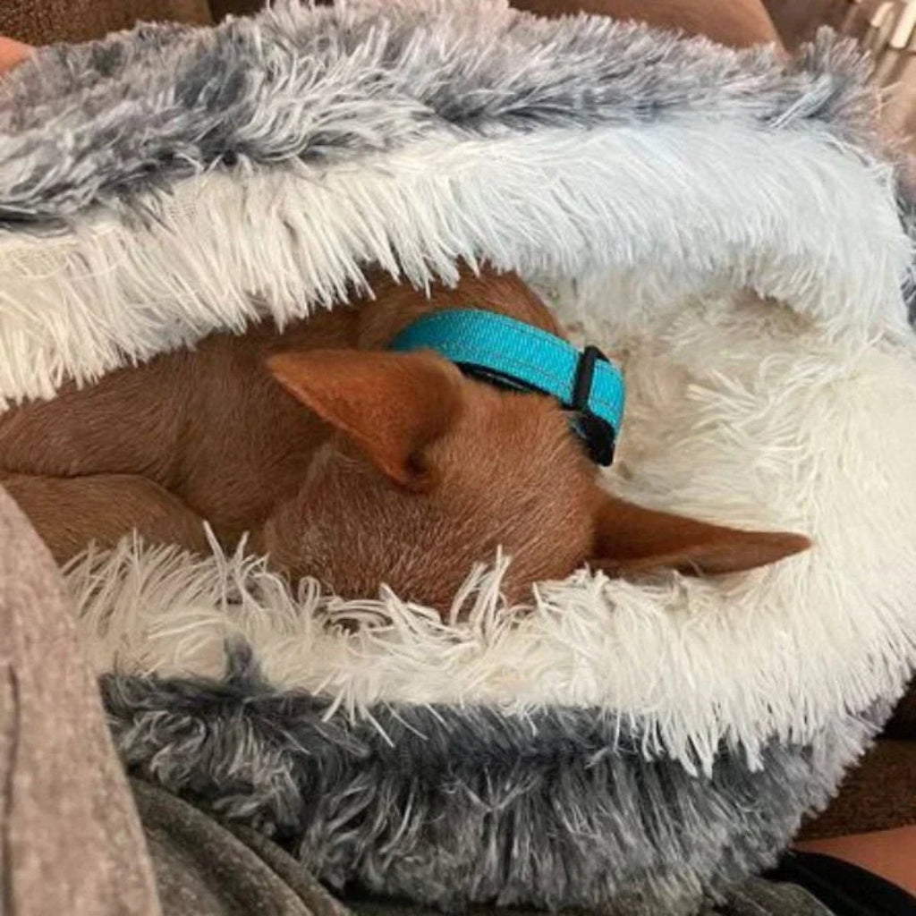 Junips | Cozy Cave Pet Bed | Calming & Comfortable Dog Bed for Deep Relaxation
