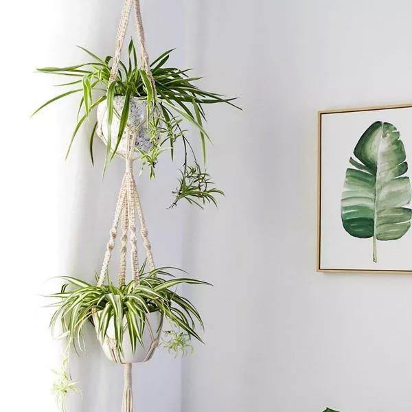 Junips | 4-piece handmade Boho macrame plant hanger set