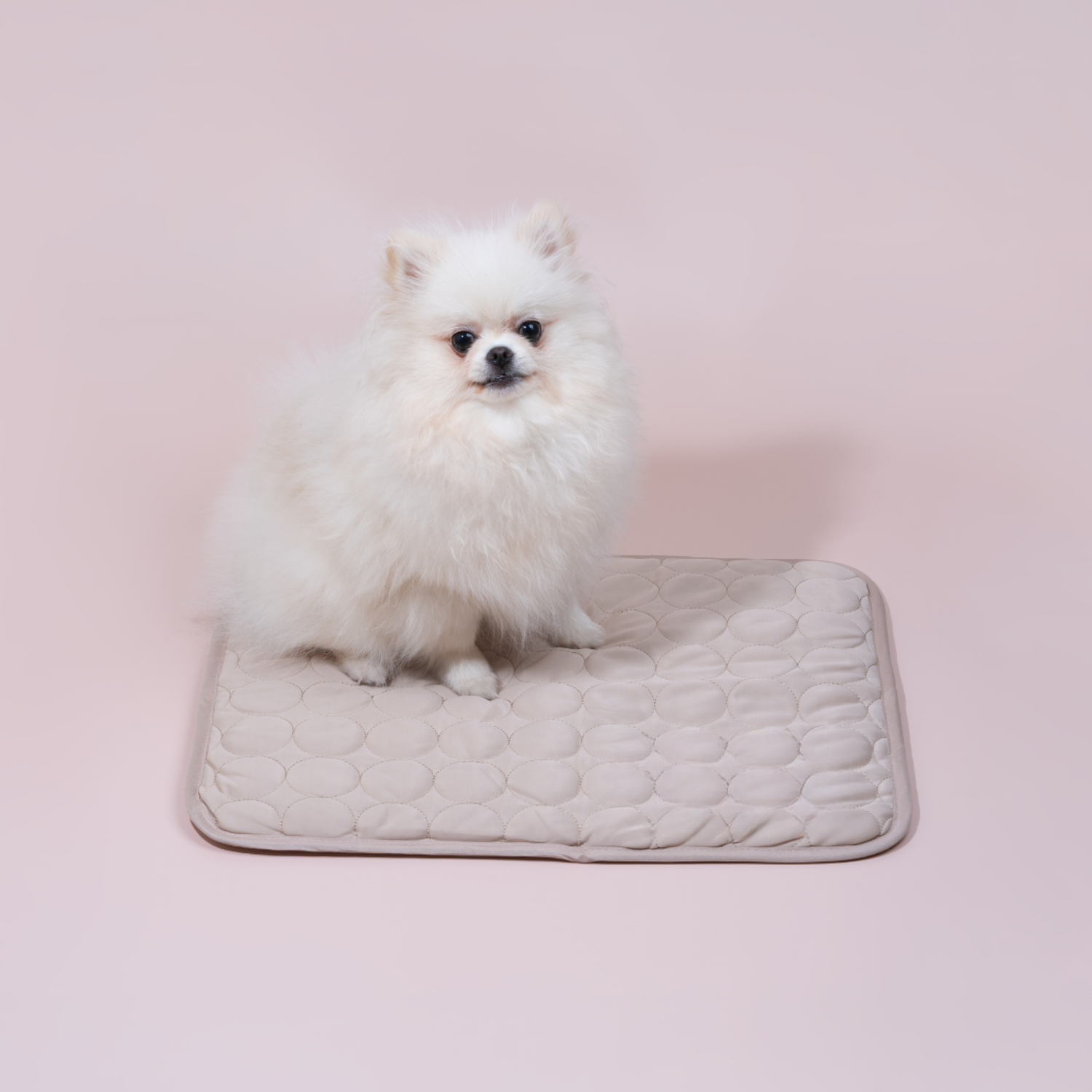 Junips | Innovative Cooling Mat for Dogs (4x Cooling Power) - ChillComfort