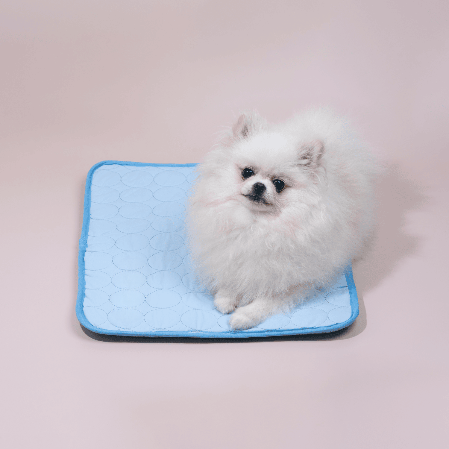 Junips | Innovative Cooling Mat for Dogs (4x Cooling Power) - ChillComfort