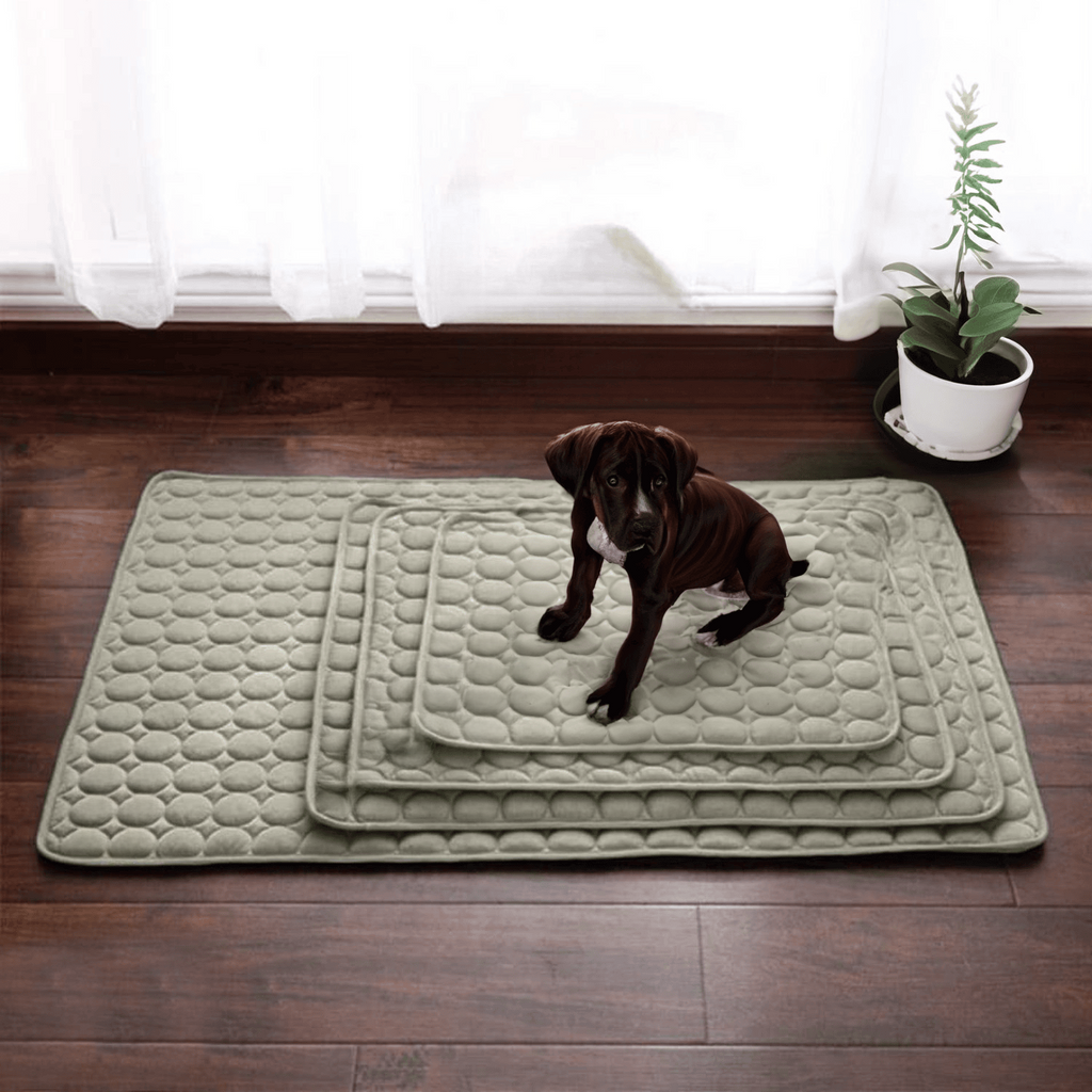 Junips | Innovative Cooling Mat for Dogs (4x Cooling Power) - ChillComfort