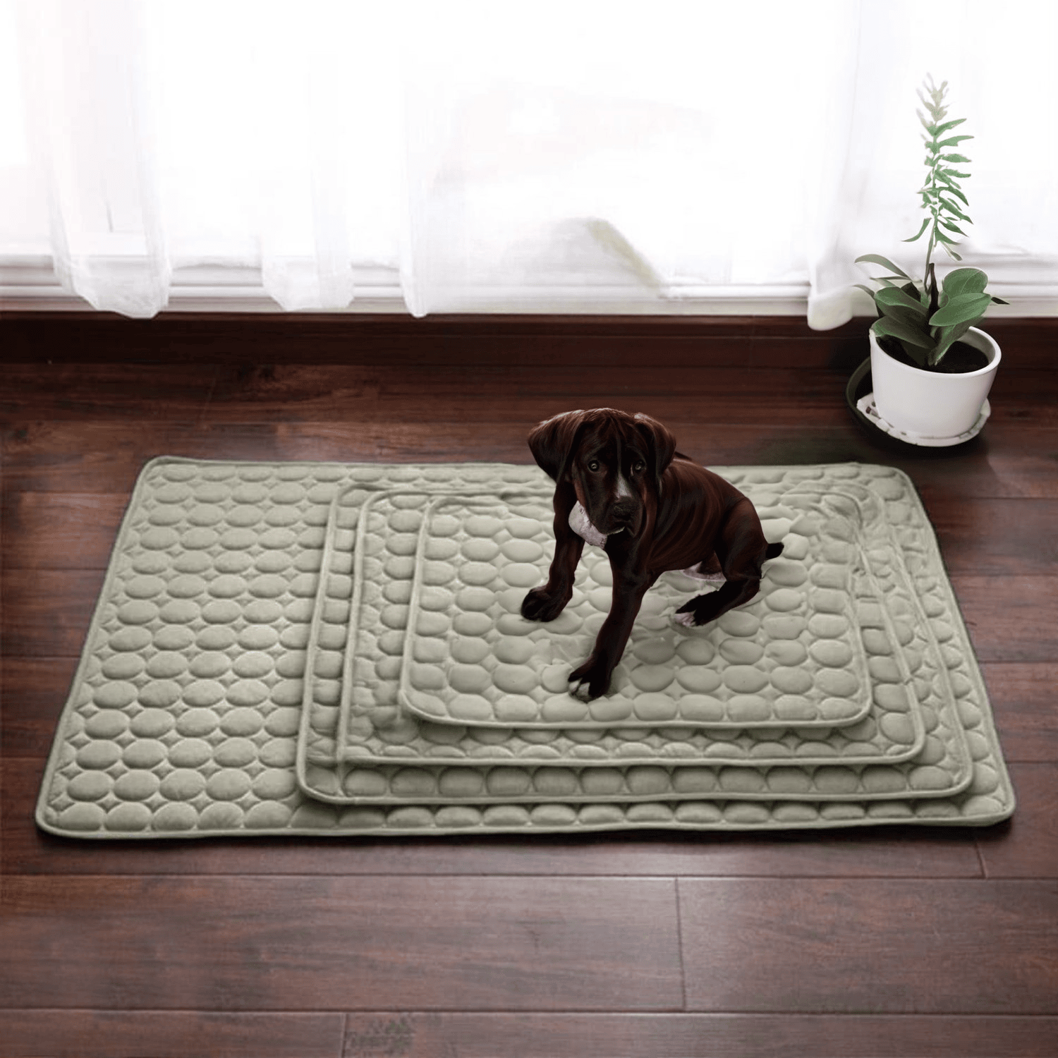 Junips | Innovative Cooling Mat for Dogs (4x Cooling Power) - ChillComfort