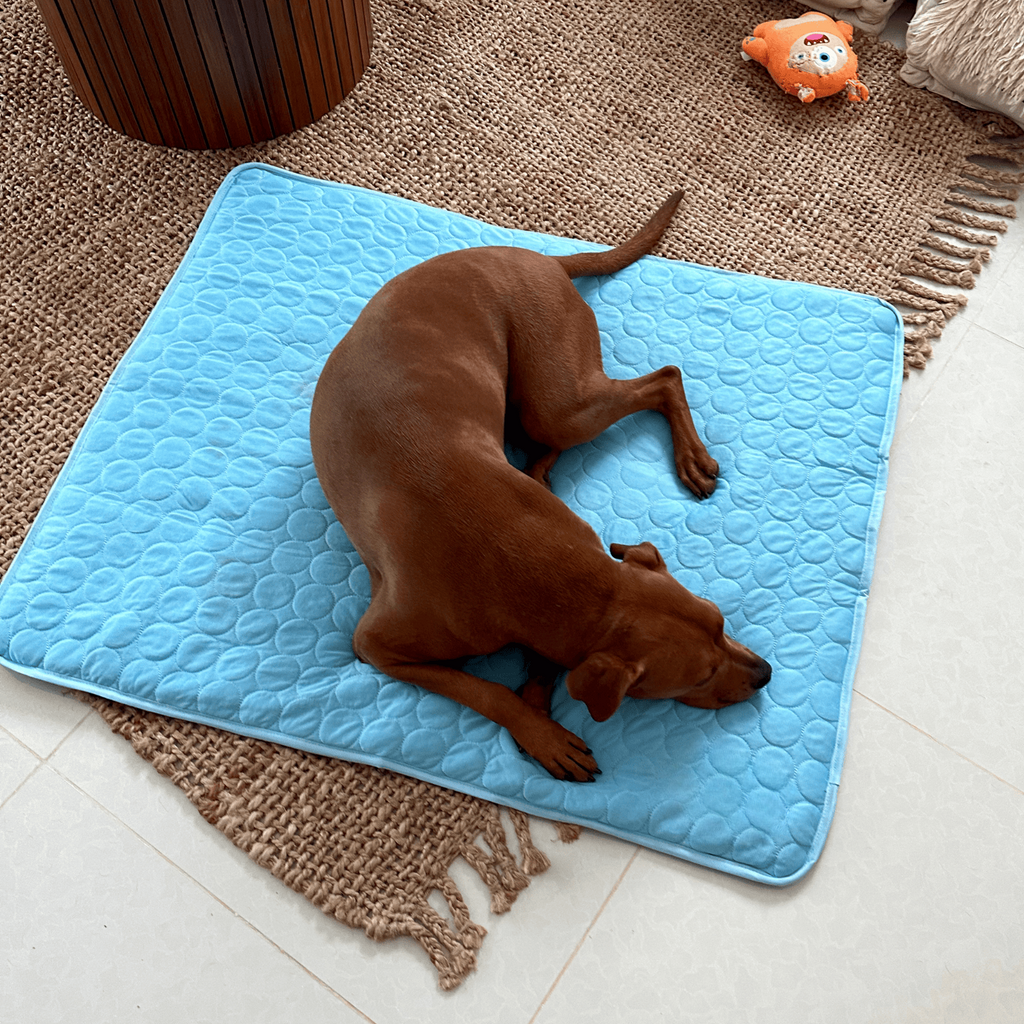 Junips | Innovative Cooling Mat for Dogs (4x Cooling Power) - ChillComfort