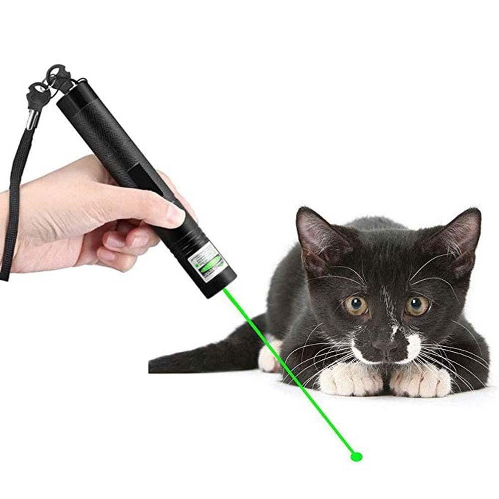 Junips | High-performance Laser Pointer 303