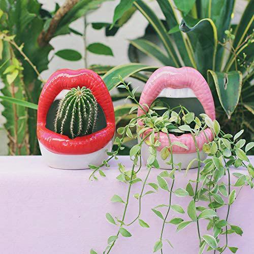 Junips | Lips Flower Pot