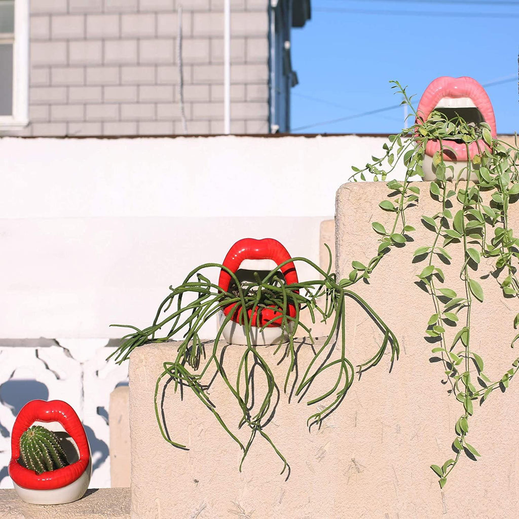 Junips | Lips Flower Pot
